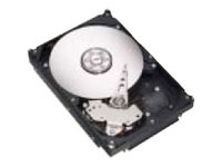 Seagate NL35 Series - ST3250623NS Seagate NL35 Series - ST3250623NS